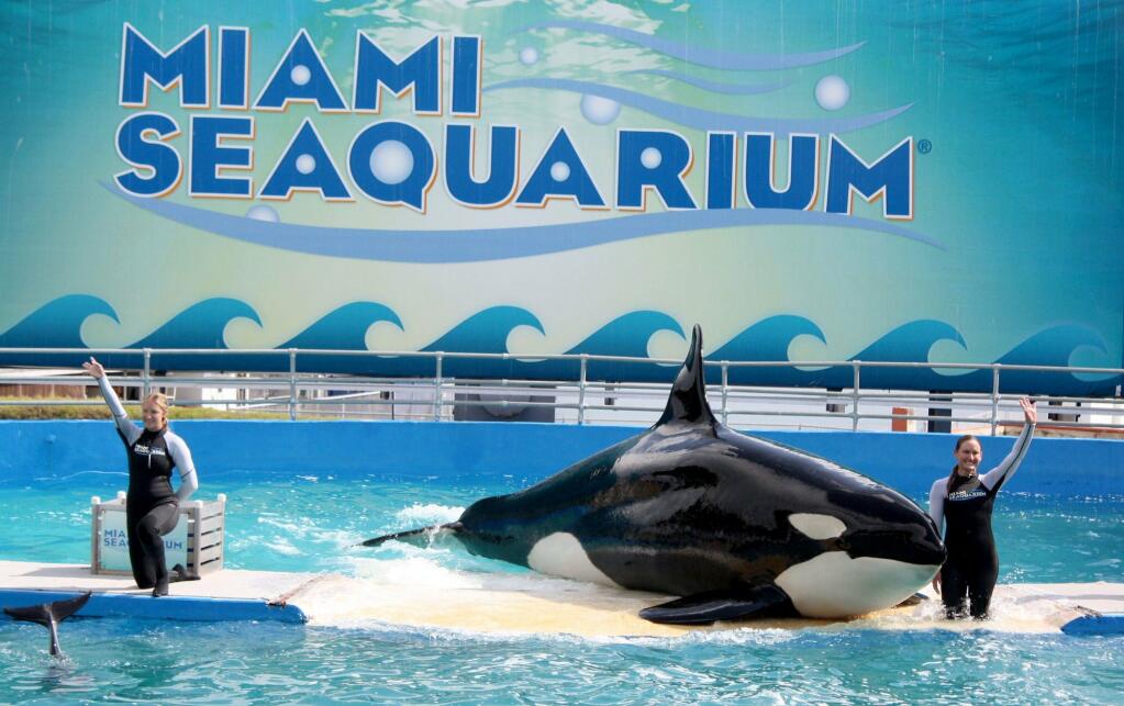 Miami Seaquarium